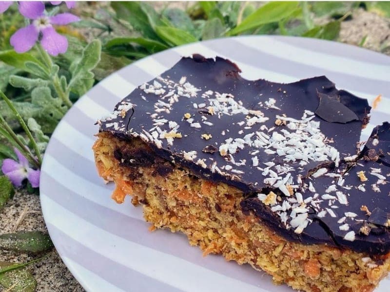 Raw carrot cake with cacao glaze