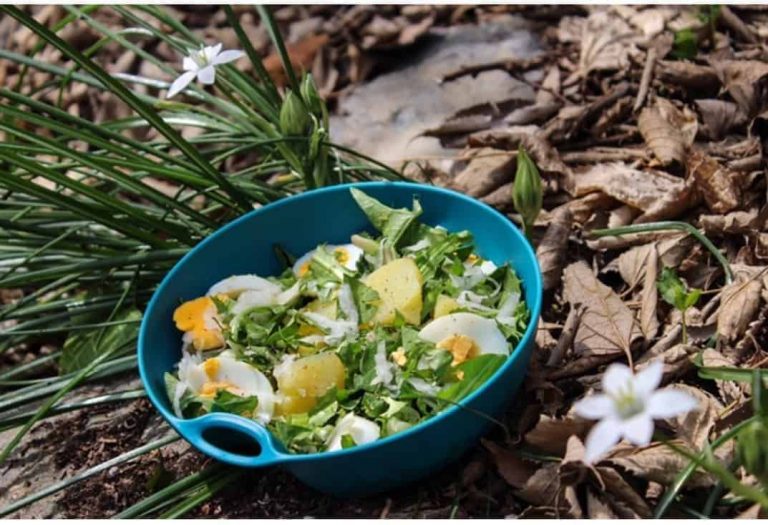 Dandelion salad