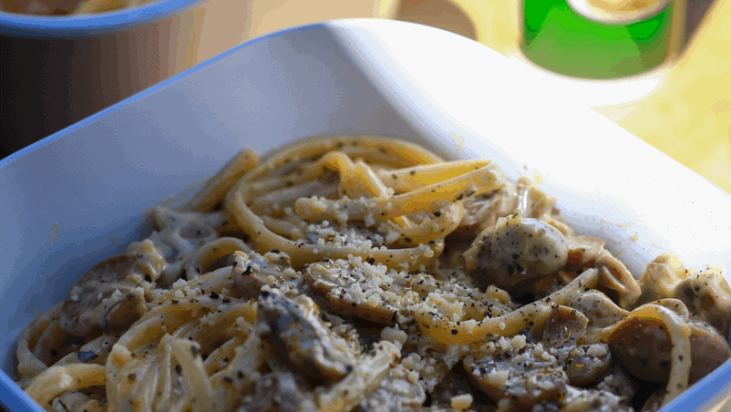 vanlife-Mushroom Stroganoff