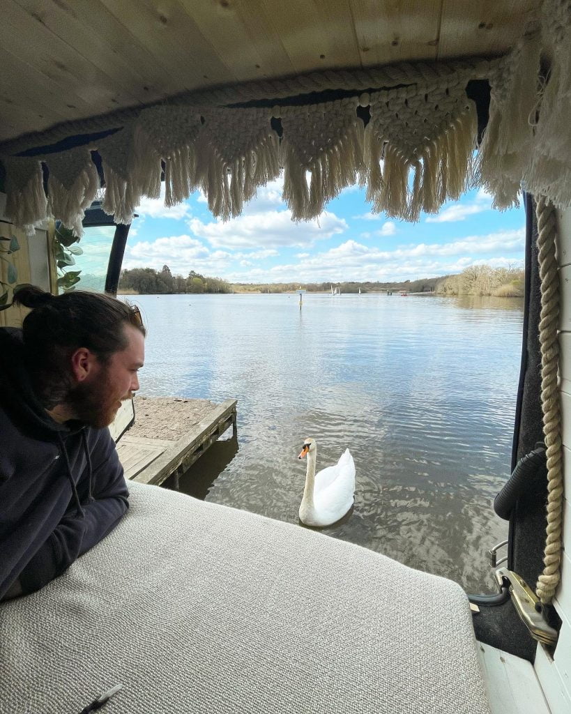 The campervan has the back doors open, looking out onto a beautiful lake. There are blue skies in the background. Billy is lying on the bed looking out while a swan on the water looks in at him.