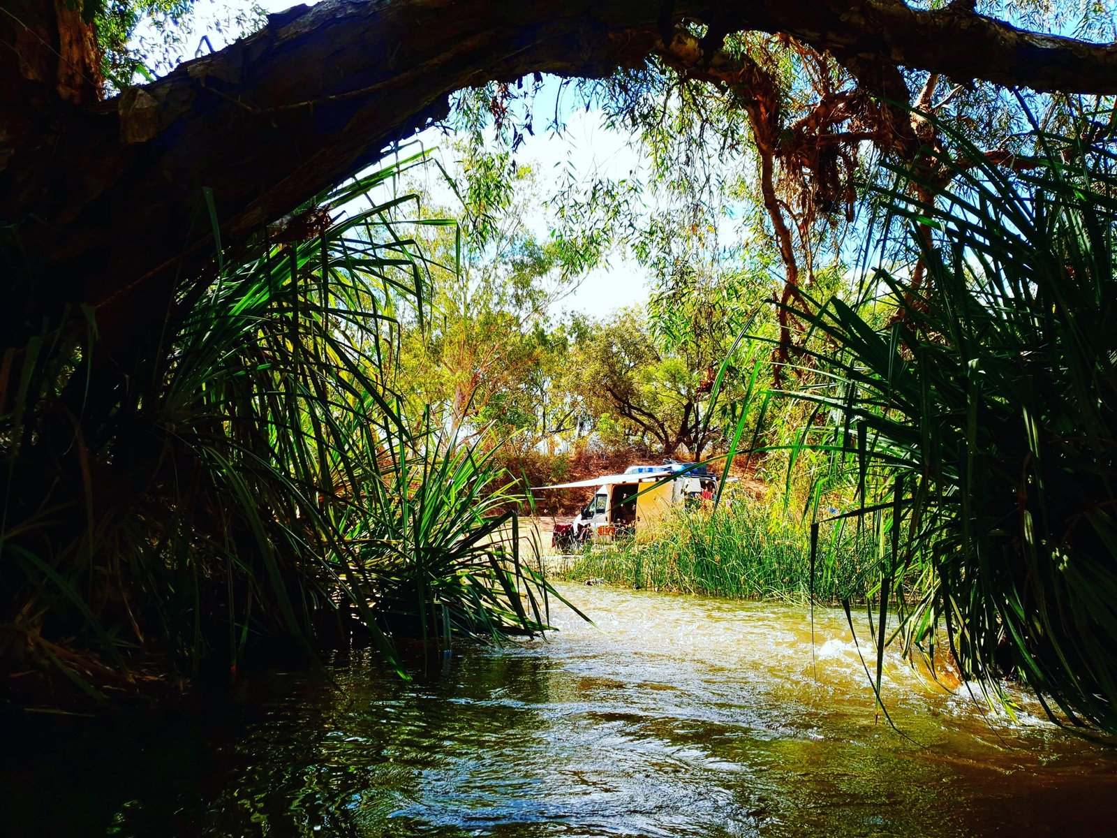 Vinny the van diesel