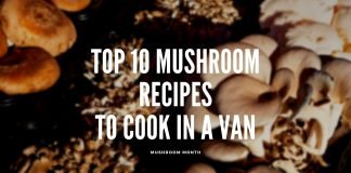 mushroom month vanlife