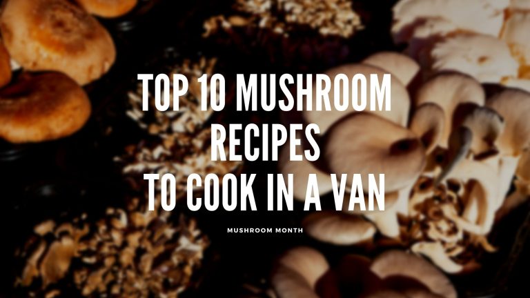 Top 10 Mushroom Recipes You Can Cook In A Small Van Kitchen | Mushroom Month 2021