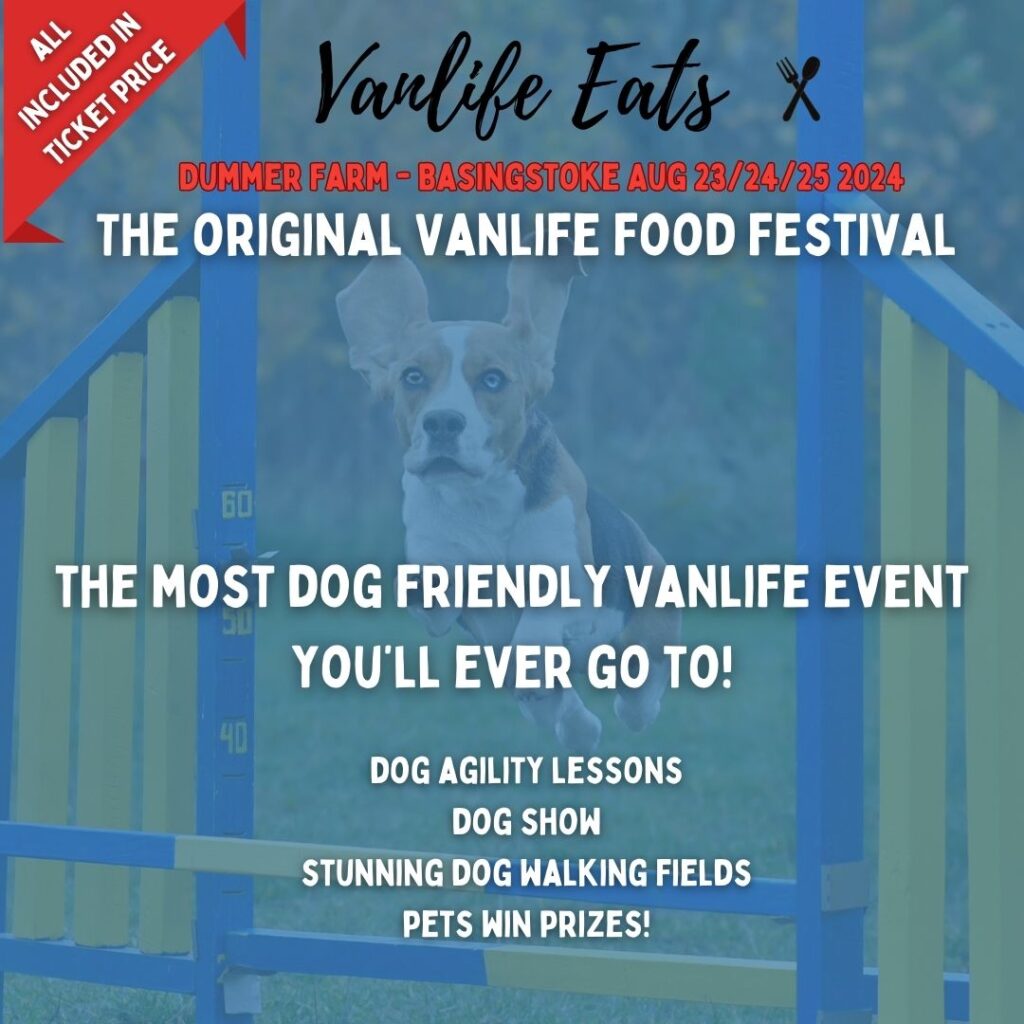 vanlife eats festival dog agility
