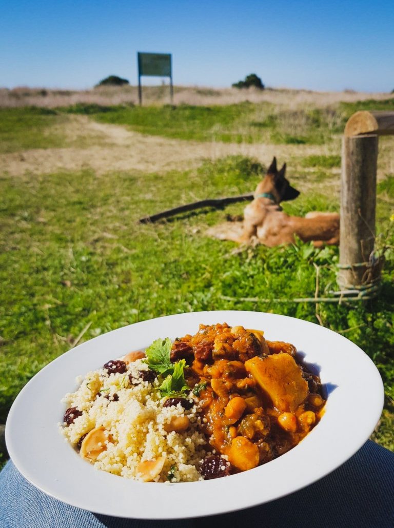 Moroccan inspired stew